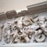 Η αρπαγή γίγαντα που ανήκε στον βωμό του Δία