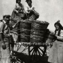 6 Αυγούστου: Η γιορτή των σταφυλιών  από τις αρχαίες «απαρχές» στους αμπελώνες των Αθηνών