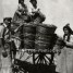 6 Αυγούστου: Η γιορτή των σταφυλιών  από τις αρχαίες «απαρχές» στους αμπελώνες των Αθηνών