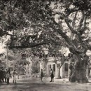 Το πρώτο οικολογικό συλλαλητήριο στην πλατεία Πλατάνου στην Kηφισιά !